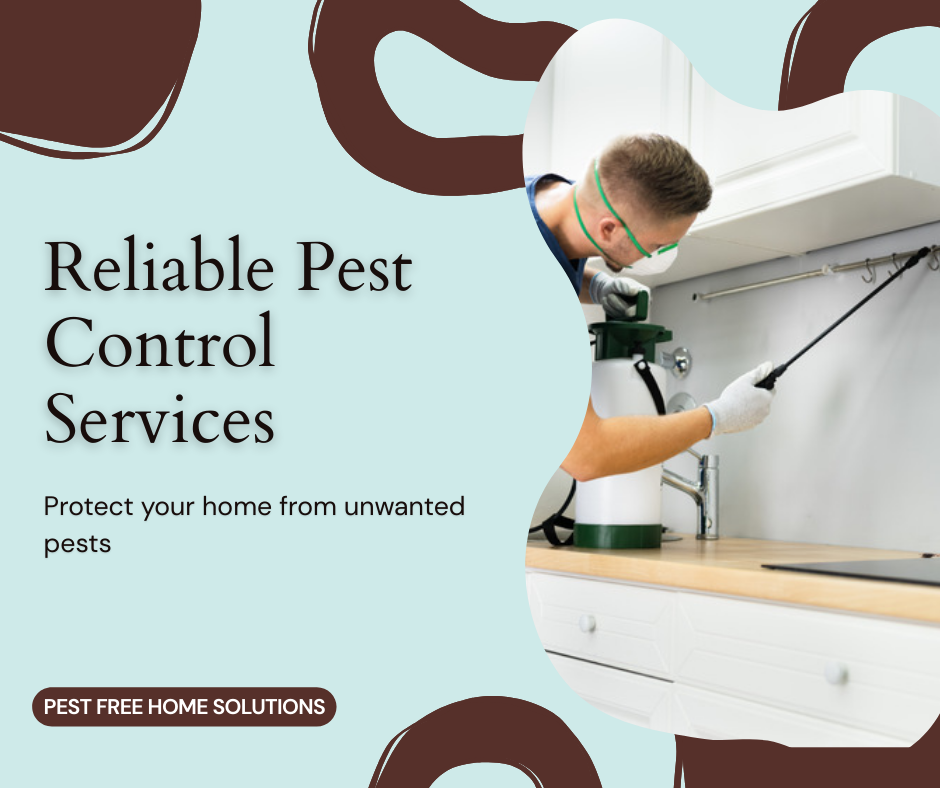 24 Hour Pest Control Services